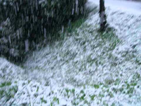 Snow in Karori, Wellington - 14/08/2011