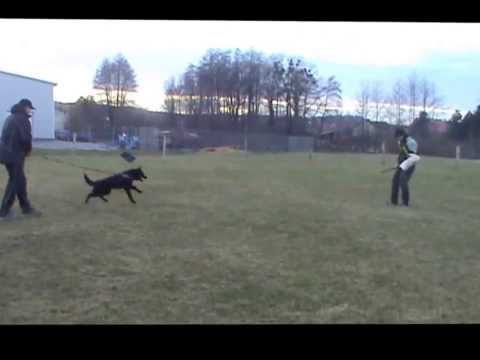 Gucci z Jukasu - protection - 7 months