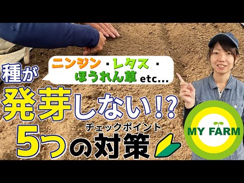種が発芽しないのですが?最も一般的な 5 つの理由 トピックス