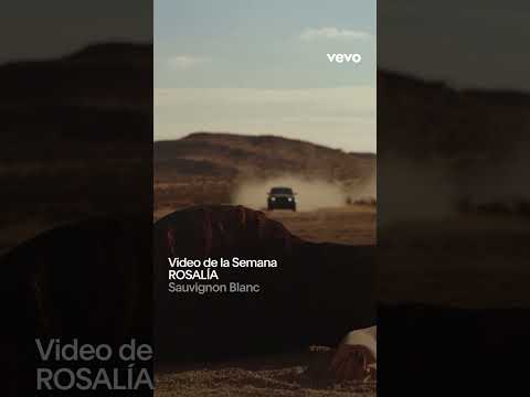 Rosalía publica el nuevo videoclip de 'Sauvignon Blanc': en el desierto y junto a una 'pareja invisible'