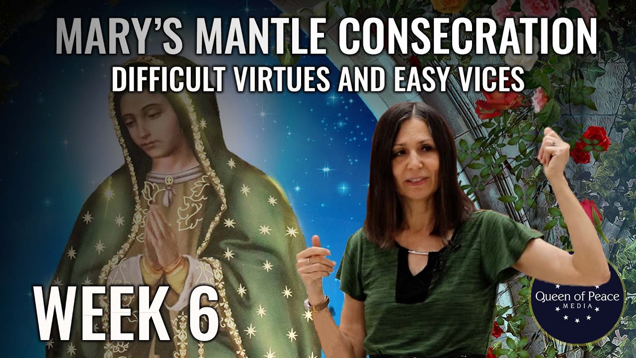 Part 6: Virtue and Vice