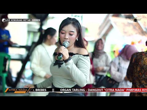 MABOK NGESLOT ~ AYU WD // CITRA NADA LIVE DESA KEMURANG WETAN // KEC.TANJUNG - BREBES