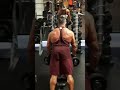 Remada com halteres apoiado e rotação externa (2) #backday back