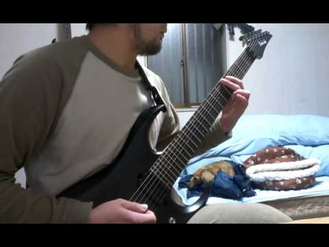 Nile - Enduring The Eternal Molestation of Flame (guitar cover) video thumbnail