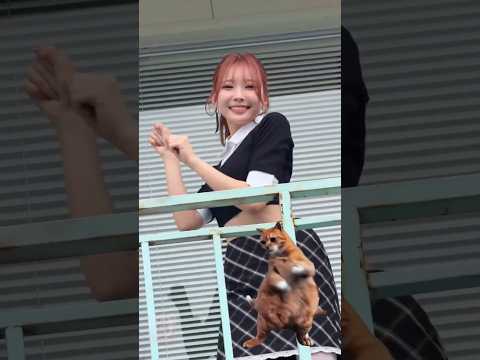 まゆ猫フォーチュンクッキー😻💚【NiziU MAYUKA】