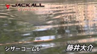 シザーコーム６インチのこんな使い方！