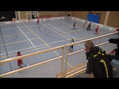 SUDET D03 pun-JOSBA  21.01.2017 3erä