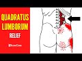 How to Fix Quadratus Lumborum Pain FOR GOOD
