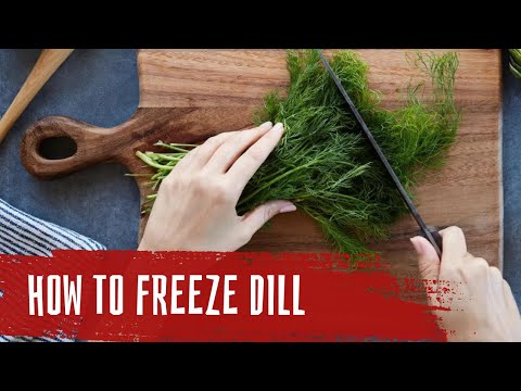 Keep Your Dill Fresh: Freezing Tips