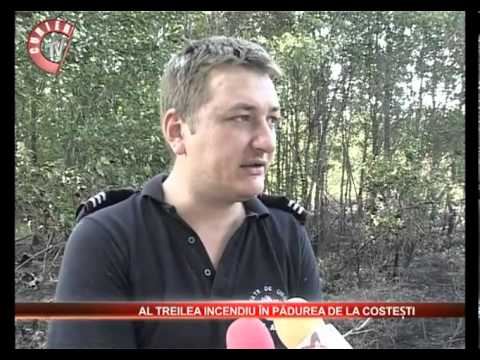 al treilea incendiu in padurea de la Costesti