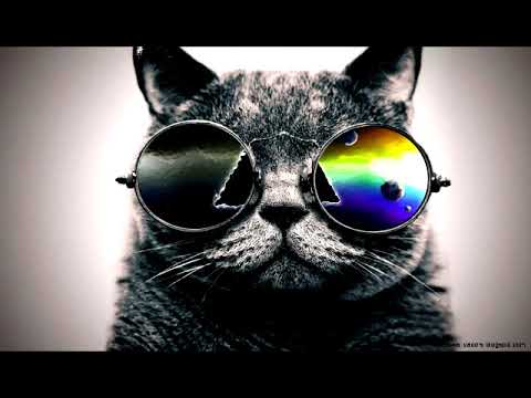 Ziggy X - Bassdusche [R胖20170829_MIX]