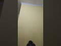 BIGO LIVE ML SUAMI ISTRI D3SAH Bigo Live Liveinstagram Ml Desahogo