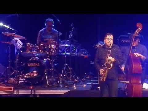 'The Man' Michael Franks - "B'wana He No Home" Finale (LIVE)