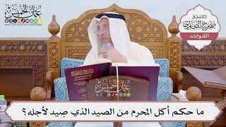 [808] ما حكم أكل المحرم من الصيد الذي صِيد لأجله؟ - عثمان الخميس