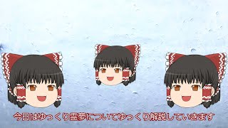 狂気のゆっくり霊夢ゆっくり解説