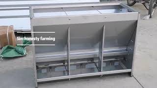 Stainless steel automatic pig feeder dry wet pig feeder weaning to finishing