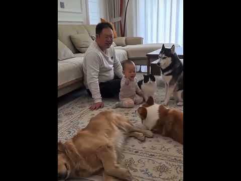 AKILLI BIDIKLAR PART-1