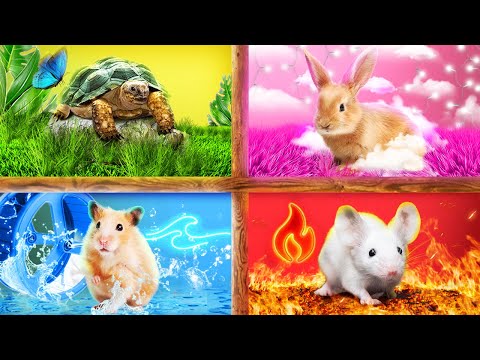 We Build Secret Rooms! Secret Rooms for 4 Elements Pets