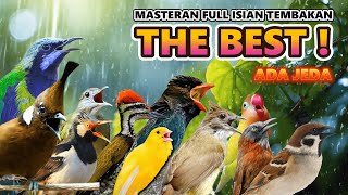Download lagu #4 MASTERAN KOMPLIT FULL ISIAN TEMBAKAN MEWAH TERBARU ! mp3