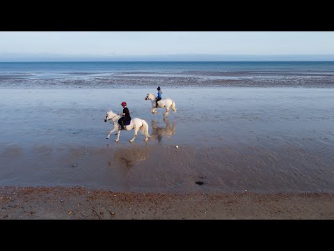 Horse Riding on the Beach