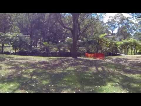 Malaleuca Park, Tascott - dogexplorer.com.au