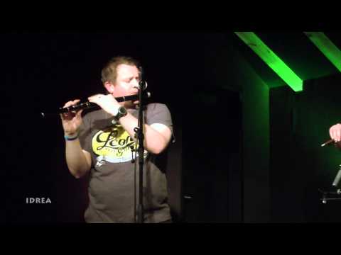 A Fig for a Kiss - Doherty-Palm-Topp Irish Folk, Germany  HD