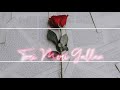 Teri Meri Gallan Hogi Mashhur Status New Whatsapp Status Video Shershaah