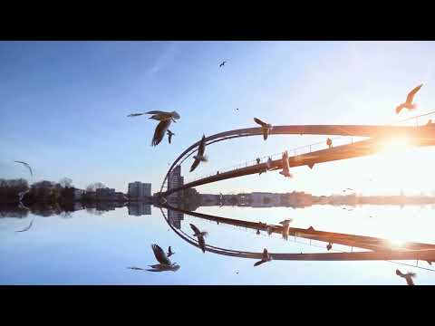 DJ Pulse & The Jazz Cartel- Steet player (Promo vocal mix)