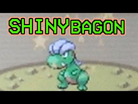 567 - LIVE! Shiny Bagon in Ruby Version after only 880 REs!!! (+ evolutions)