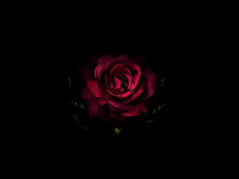 Young Spenc   Open Up