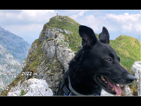 Trekking with my dog ...... (and more) - "P.sso degli Scalini" (2022 m) - Italy