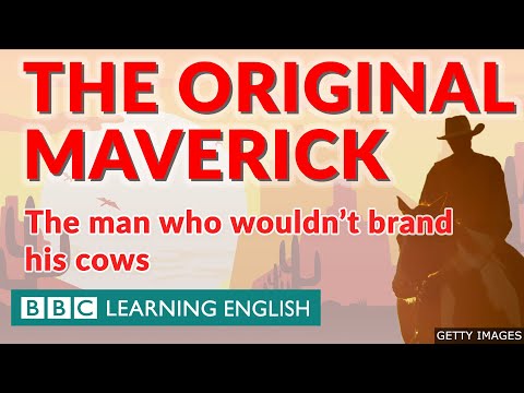 The Man Who Wouldn't Brand His Cows | A History of the English Word 'Maverick'