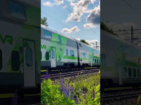 Ic 33 vanerin tasoristeyksessä! #esc #käärijä