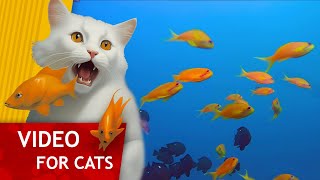 Cat Games - Black fish and Yellow fish (Video for Cats to watch)