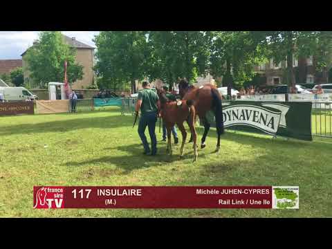 Sprinter Sacré Show 2018 : Lot 117 - INSULAIRE
