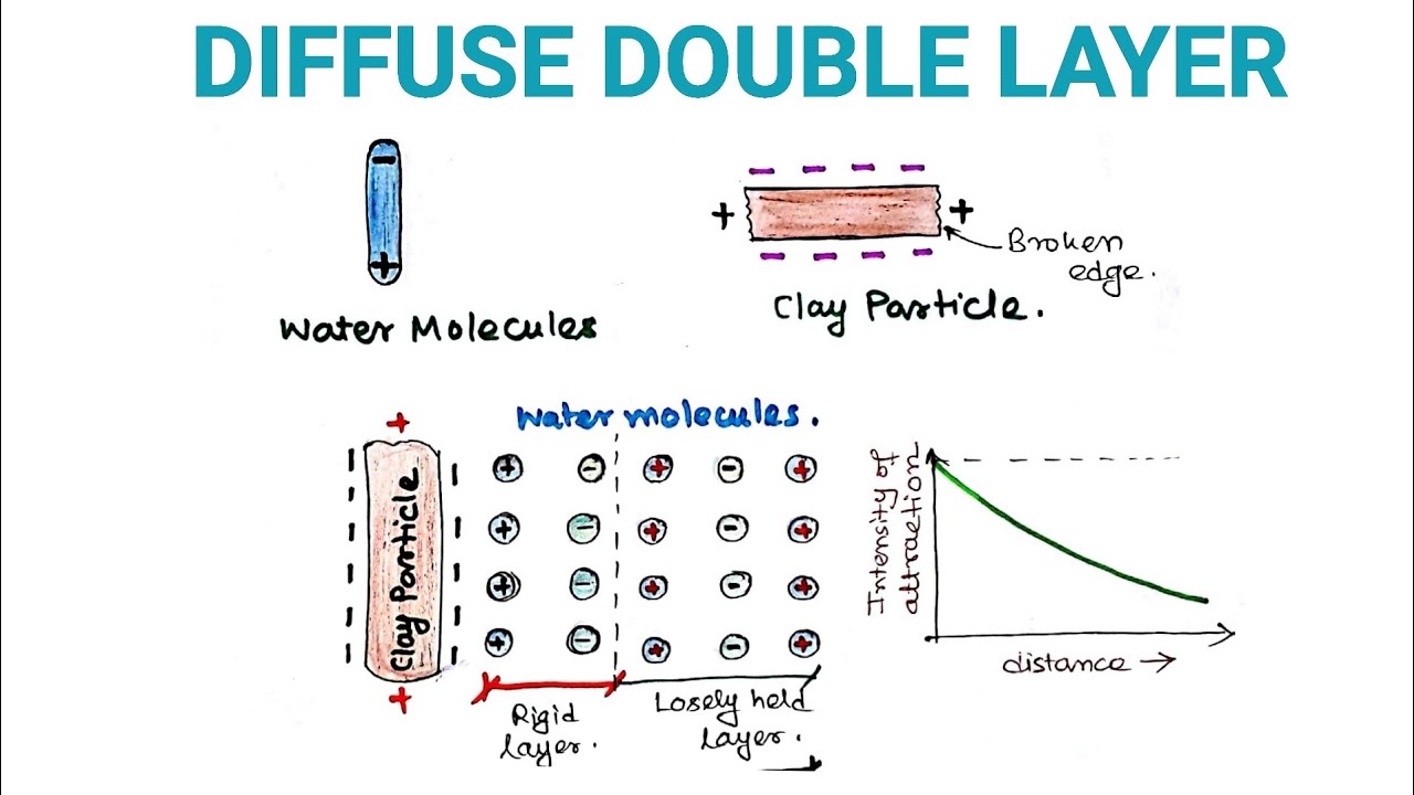 Diffuse double layer || in soil || in hindi