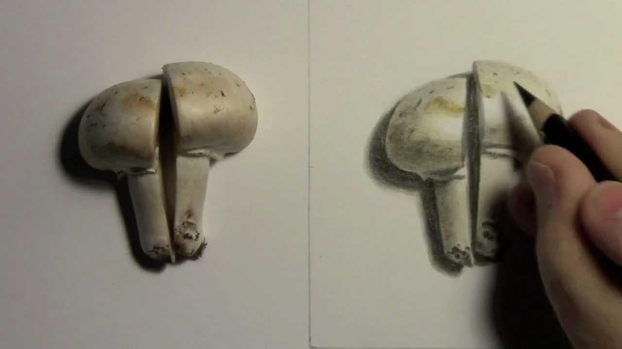 Live Drawing of Mushroom by Marck Crilley
