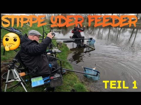Stippe oder Feeder 🤔 Teil 1