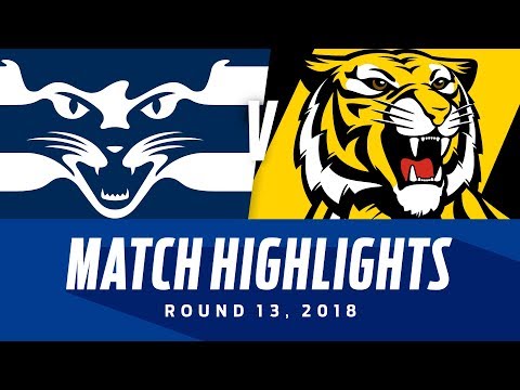 Geelong v Richmond Highlights | Round 13, 2018 | AFL