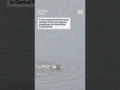 A man suspected of petit larceny attempts to flee from police by jumping into Central Park waterway