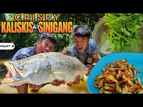 P2-CRISPY KALISKIS NG MALAKING APAHAP - EP1104