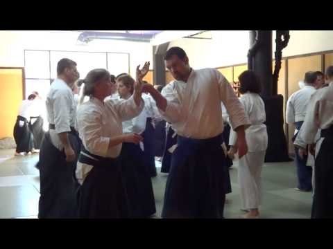 Hiroshi Ikeda Shihan Seminar - Feb 22-24, 2013