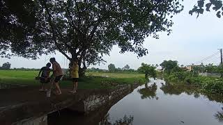 Về quê câu cá, ngồi hóng gió sân đình