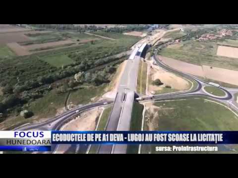 ECODUCTELE DE PE A1 DEVA - LUGOJ AU FOST SCOASE LA LICITAȚIE