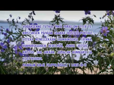 mikä paras on,että te Kristuksen päivään saakka olisitte puhtaat ettekä kenellekään loukkaukseksi, 