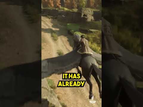 All The Mounts Available In Hogwarts Legacy