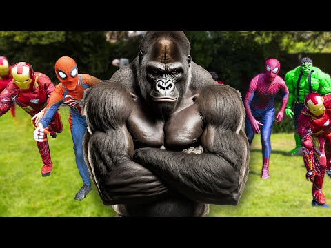 Gorilla VS 100 Superheroes!