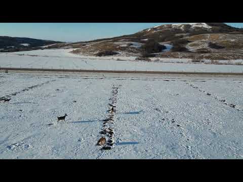 Qu'appelle Valley March 2nd, 2026