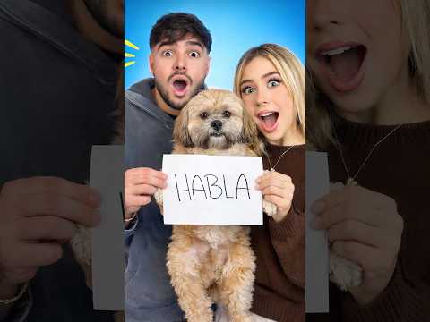 Mi Perrito Bebé sabe hablar !! 🐶🤯