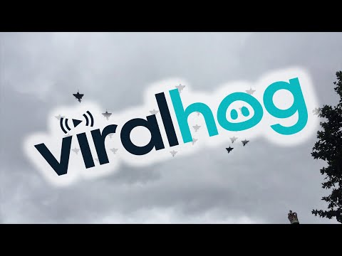 100 Year Royal Air Force Celebration || ViralHog